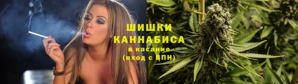 PSILOCYBIN Надым