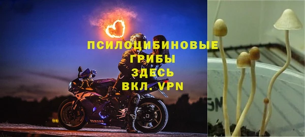 PSILOCYBIN Надым