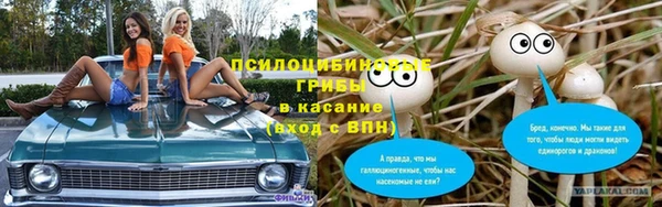PSILOCYBIN Надым
