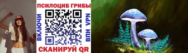 Галлюциногенные грибы ЛСД  Новозыбков 