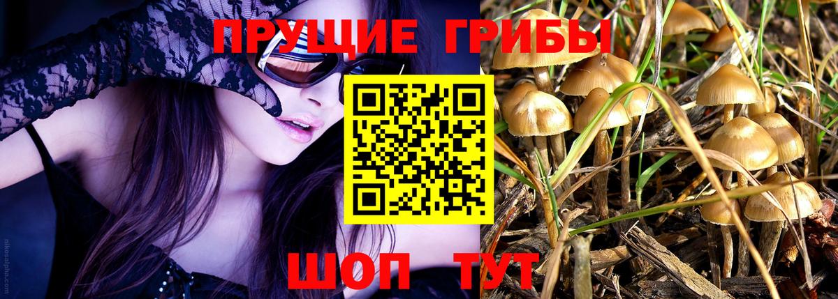 Галлюциногенные грибы GOLDEN TEACHER Новозыбков
