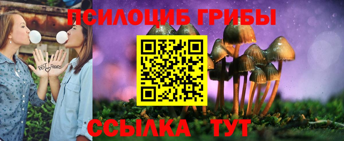 Псилоцибиновые грибы Cubensis  Галлюциногенные грибы прущие грибы  Новозыбков  Вход с VPN 